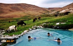 پردیس علامه طباطبایی اردبیل (برادران) 2