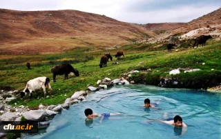 پردیس علامه طباطبایی اردبیل (برادران)