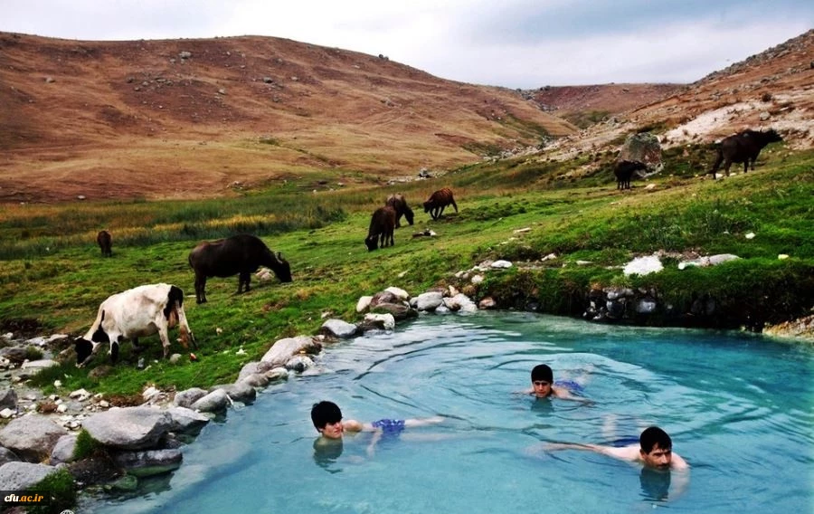 پردیس علامه طباطبایی اردبیل (برادران) 2