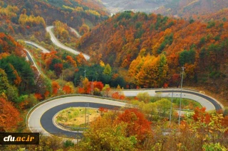 مدیریت امور پردیس های استان البرز