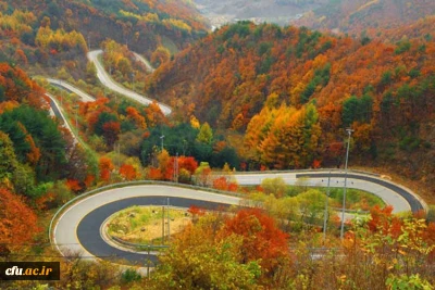 مدیریت امور پردیس های استان البرز