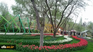 پردیس امیرکبیر البرز (خواهران)