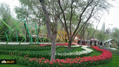 پردیس امیرکبیر البرز (خواهران)