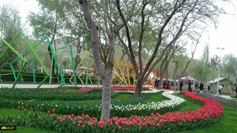 پردیس امیرکبیر البرز (خواهران) 2