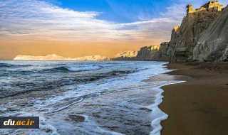 مدیریت امور پردیس های استان بوشهر