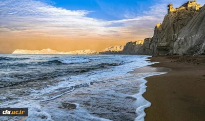 مدیریت امور پردیس های استان بوشهر