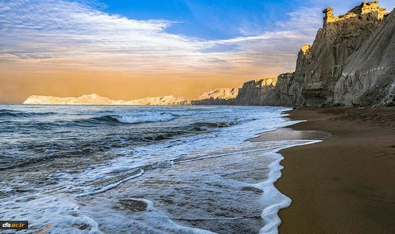 مدیریت امور پردیس های استان بوشهر 2