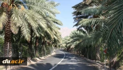 پردیس بنت الهدی صدر بوشهر(خواهران) 2