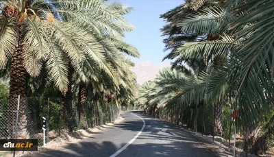 پردیس بنت الهدی صدر بوشهر (خواهران)