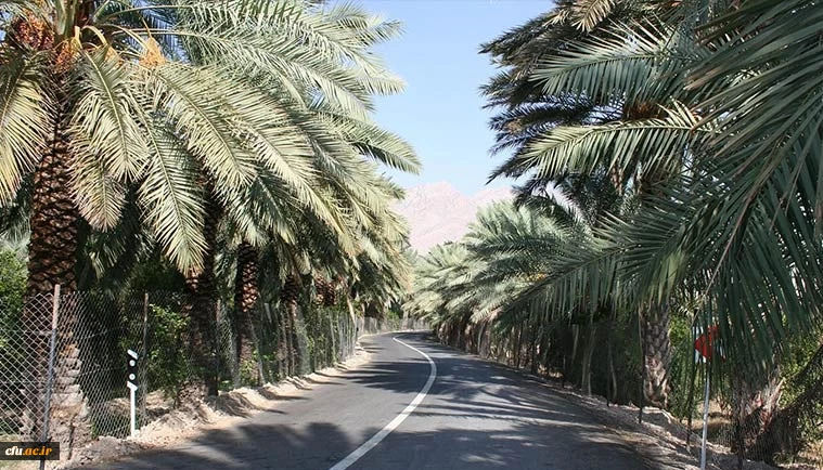 پردیس بنت الهدی صدر بوشهر(خواهران) 2