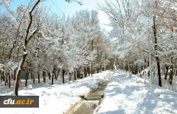 مرکز آموزش عالی شهید رجایی فرخ شهر (برادران) 2