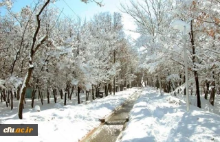 مرکز آموزش عالی شهید رجایی فرخ شهر (برادران)