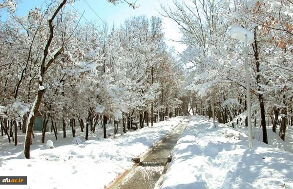 مرکز آموزش عالی شهید رجایی فرخ شهر (برادران) 2