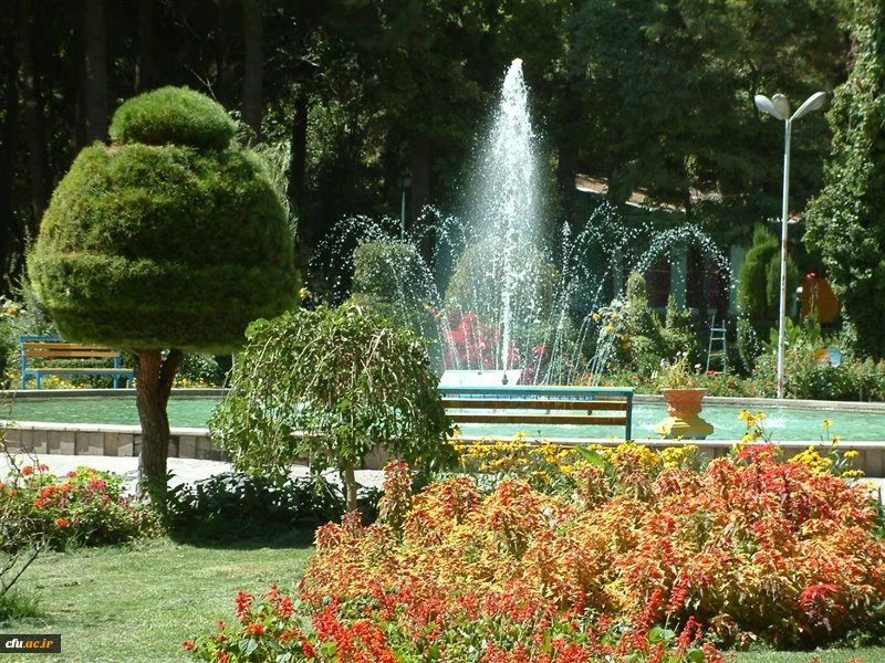 مرکز آموزش عالی شهید رجایی تربت حیدریه (برادران) 2