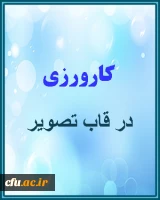 کارورزی در قاب تصویر