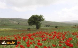 پردیس الزهرا سمنان (خواهران) 2