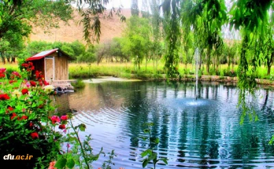 مرکز آموزش عالی شهید بهشتی اقلید (برادران)