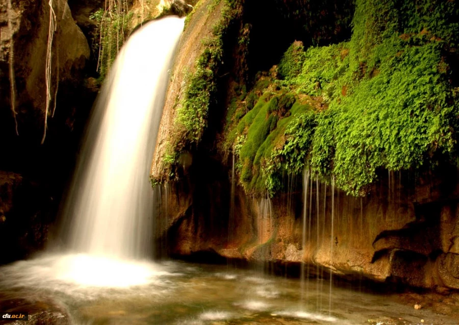 پردیس کوثر یاسوج ( خواهران) 2