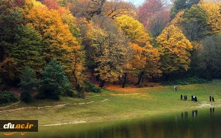 پردیس آیت الله خامنه ای گرگان (برادران)