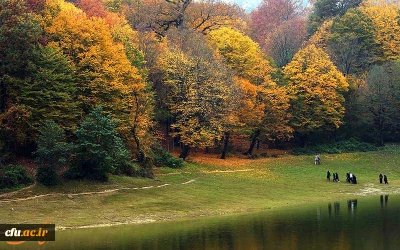 پردیس آیت الله خامنه ای گرگان (برادران)