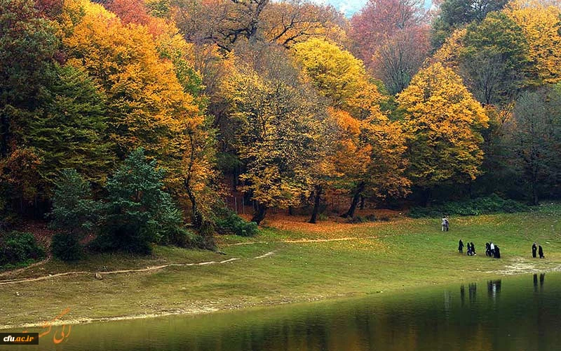 پردیس آیت الله خامنه ای گرگان(برادران) 2