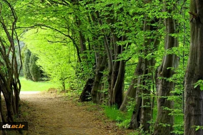 پردیس امام خمینی(ره) گرگان (خواهران)