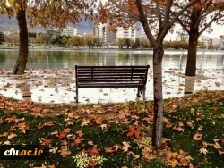 مدیریت امور پردیس های استان لرستان 2