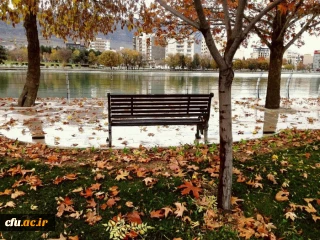 مدیریت امور پردیس های استان لرستان