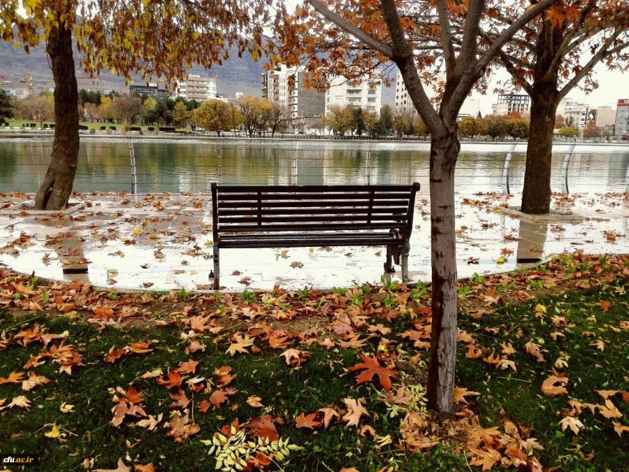 مدیریت امور پردیس های استان لرستان 2