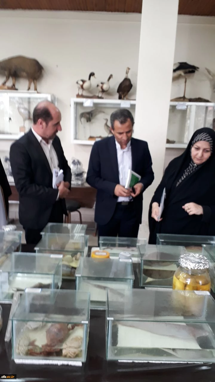 در حاشیه سفر معاون پژوهشی و فناوری دانشگاه به گیلان انجام شد:

ادای احترام به مقام شامخ شهدا، بازدید از روند مصاحبه داوطلبان ورود به دانشگاه، حضور در جمع اعضای هیات علمی 3