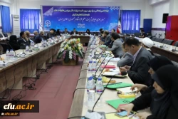 دکتر علی نژاد در کارگروه