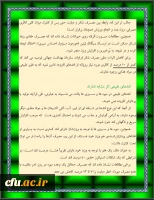 قندهای طبیعی