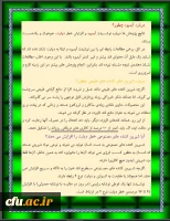 شیرین کننده ها