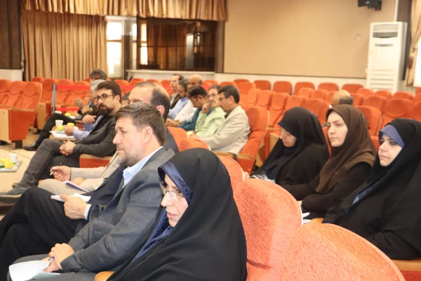 میرمعینی:ضرورت تبیین و ترسیم نقشه راه  ویژه برگزاری جشنواره های فرهنگی درمدیریت های گوناگون