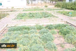 بازدید مسئولین دانشگاه فرهنگیان استان ازظرفیت ها وامکانات دانشگاه علمی وکاربردی جهادکشاورزی استان قزوین 7