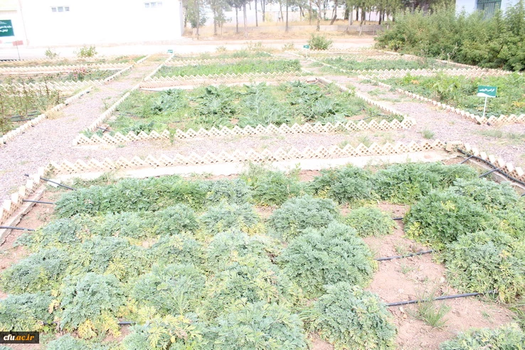 بازدید مسئولین دانشگاه فرهنگیان استان ازظرفیت ها وامکانات دانشگاه علمی وکاربردی جهادکشاورزی استان قزوین 7