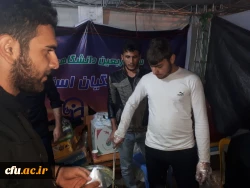 موکب دانشگاه