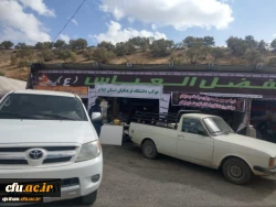 موکب دانشگاه