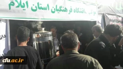 موکب دانشگاه