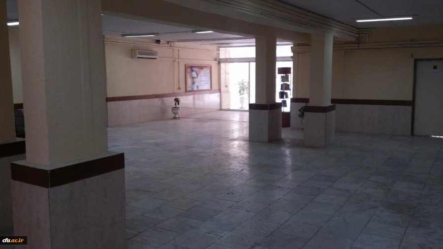 صبح سه شنبه رخ داد؛

دانشگاه فرهنگیان بوشهر در محاصره آب/ قطع برق و تعطیلی کلاس ها 3