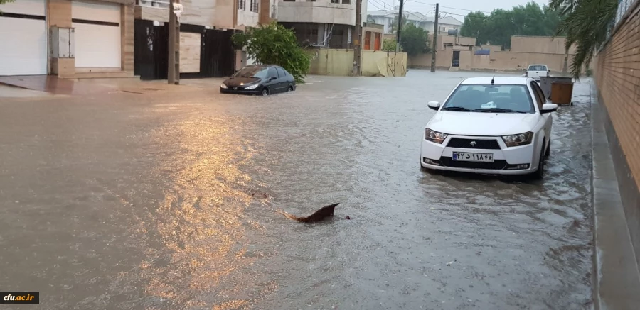 صبح سه شنبه رخ داد؛

دانشگاه فرهنگیان بوشهر در محاصره آب/ قطع برق و تعطیلی کلاس ها 4