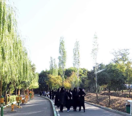 به مناسبت هفته تربیت بدنی:

 برگزاری مسابقات ورزشی در پردیس های استان زنجان