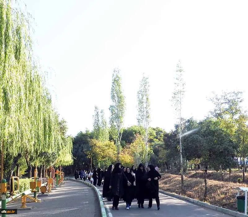 به مناسبت هفته تربیت بدنی:

 برگزاری مسابقات ورزشی در پردیس های استان زنجان