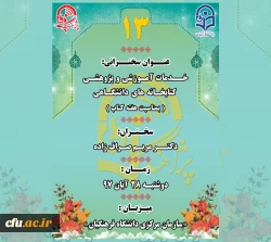 پژآهنگ سیزدهم 2