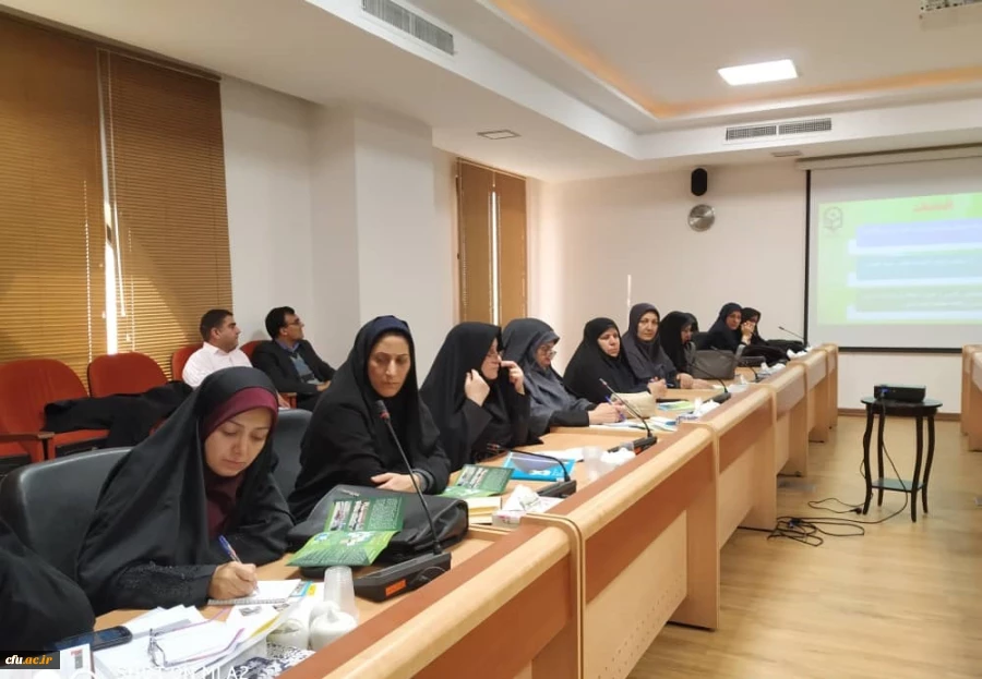 برگزاری کارگاه اداره کل نشر و اطلاع رسانی علمی و پشتیبانی علم بومی

 3