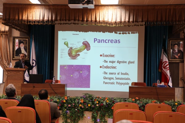 به منظور ارتقا سطح سواد سلامت کارکنان سازمان مرکزی برگزار شد:

کارگاه آموزشی آشنایی با بیماری دیابت، راه های پیشگیری و درمان آن