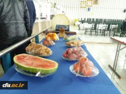 در پردیس شهید مدرس برگزار شد؛

سفره ارایی شب یلدا در دانشگاه فرهنگیان استان کردستان 5