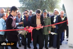 گزارش تصویری