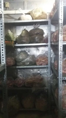 بازدید معاون مدیرکل مشاوره، بهداشت و سلامت و هیات همراه از مرکز آموزشی شهید بهشتی تهران