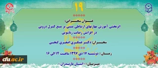 «پژآهنگ نوزدهم» برگزار می شود